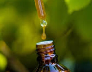 Livon Hair Serum & Forest Essentials Keshanta Hair Serum: A Complete Comparison Guide