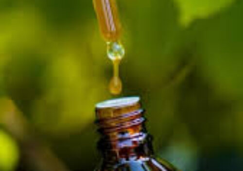 Livon Hair Serum & Forest Essentials Keshanta Hair Serum: A Complete Comparison Guide