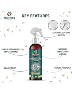 Read more about the article Moolveda Rosemary Water Spray & Essential Oil – Nature’s Answer to Stronger Hair